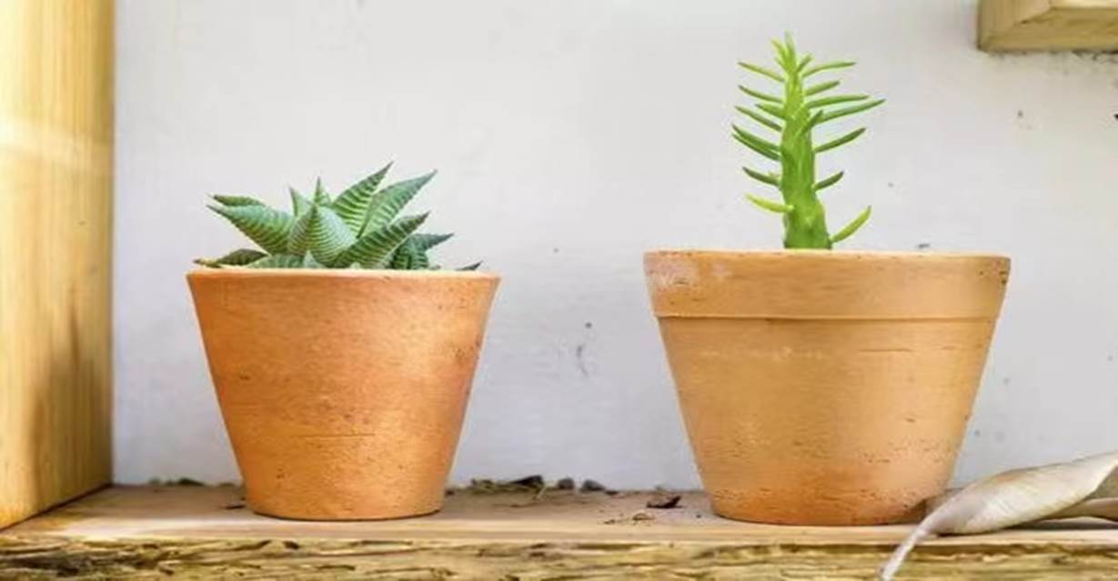 7865813fcfd28c948161aff97292dfe