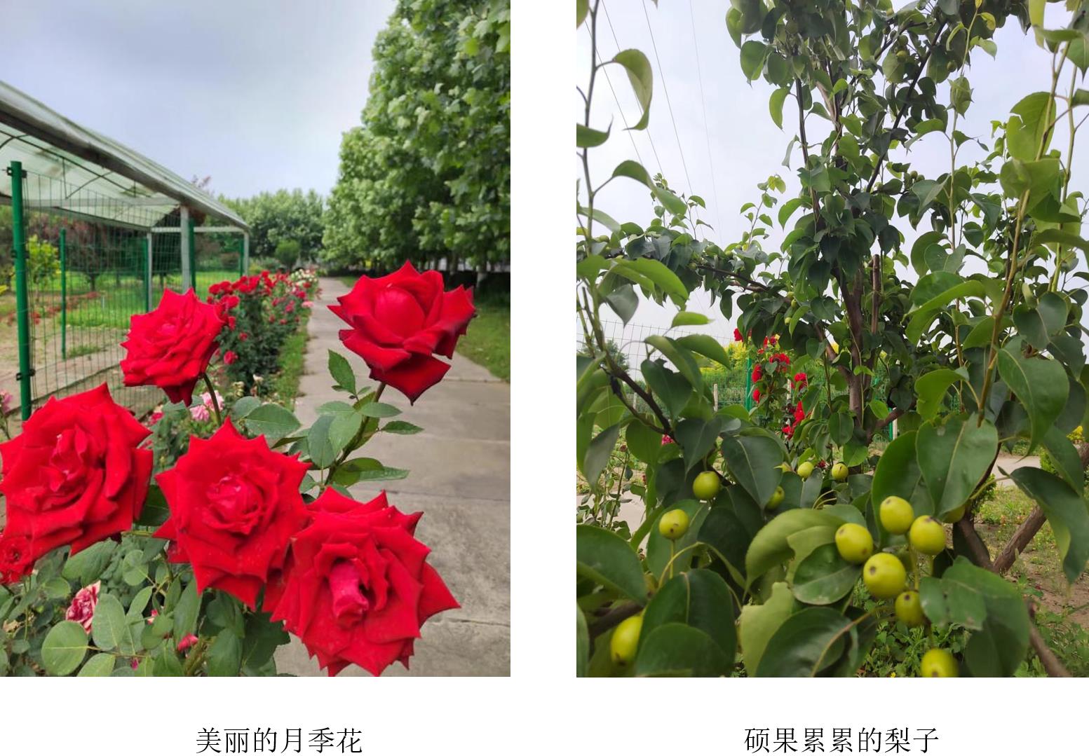 2d1fb4816d607a830f5911bffa403ca